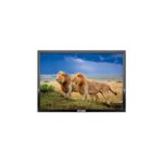 Rose Ekran-119 19" 48 Ekran HD Ready LCD TV - Görsel 3