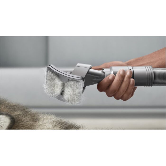 Dyson Evcil Hayvan Bakım Seti - Görsel 3