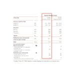 Viessmann Vitodens Trend 19KW Yoğuşmalı Kombi (Baca Dahil) - Görsel 3