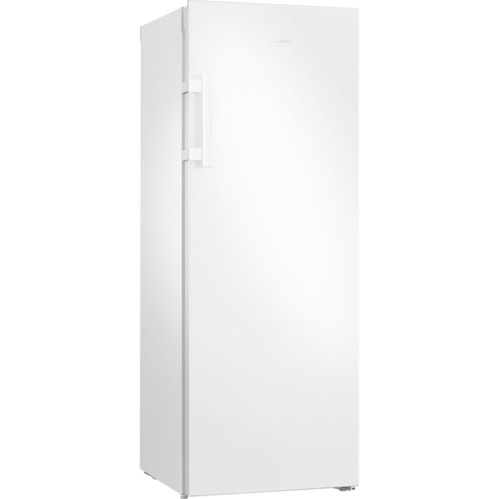 Samsung RZ20DG3001WWTR  160Lt Tek Kapılı Derin Dondurucu - Görsel 1