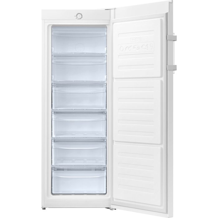 Samsung RZ20DG3001WWTR  160Lt Tek Kapılı Derin Dondurucu - Görsel 3