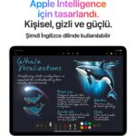 Apple iPad Air M3 13" 512GB Wi-Fi Uzay Grisi MCNT4TU/A - Görsel 3