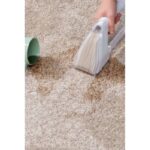 Kiwi KCC-4320 Koltuk ve Halı Yıkama Makinesi - Beyaz - 650 Watt - Görsel 3