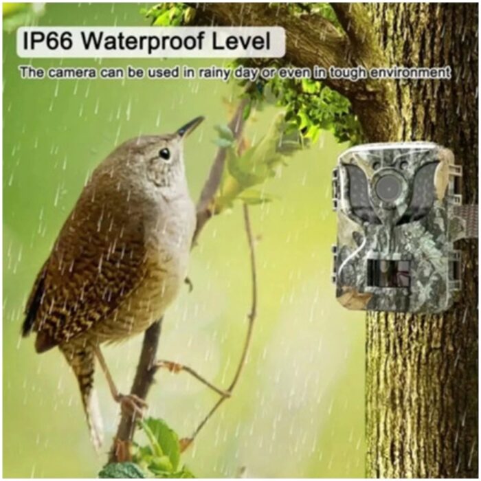 Hayat Store Fotokapan Kamera 16MP Full Hd 1080P Gece Görüşlü 2 Inç LCD Ekran Su Geçirmez - Lisinya - Görsel 3