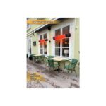 Harlem Rosse 3000W Uzaktan Kumandalı 5 Kademeli Dış Mekan Isıtıcısı Elektrikli Halojen Isıtıcı - Görsel 5