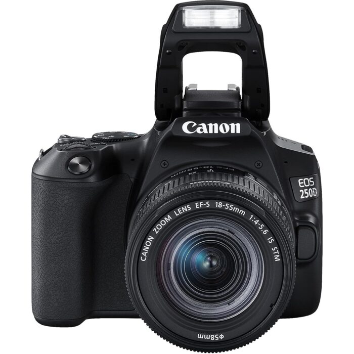 Canon Eos 250D 18-55 Is Stm Lensli Fotoğraf Makinesi (2 Yıl Canon Türkiye Garantili) - Görsel 4
