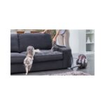 Dyson Cınetıc Bıg Ball Absolute 2 700W Supurge - Görsel 5