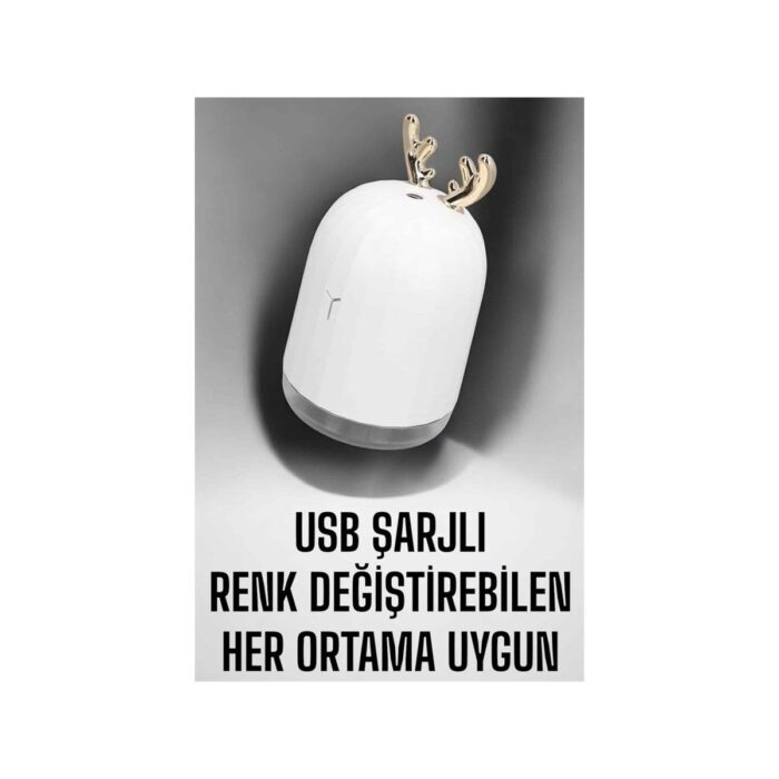 110001252265480.jpg AyrStore Aromaterapi Hava Temizleyici Buhar Makinesi Taşınabilir Şarjlı - Görsel 1