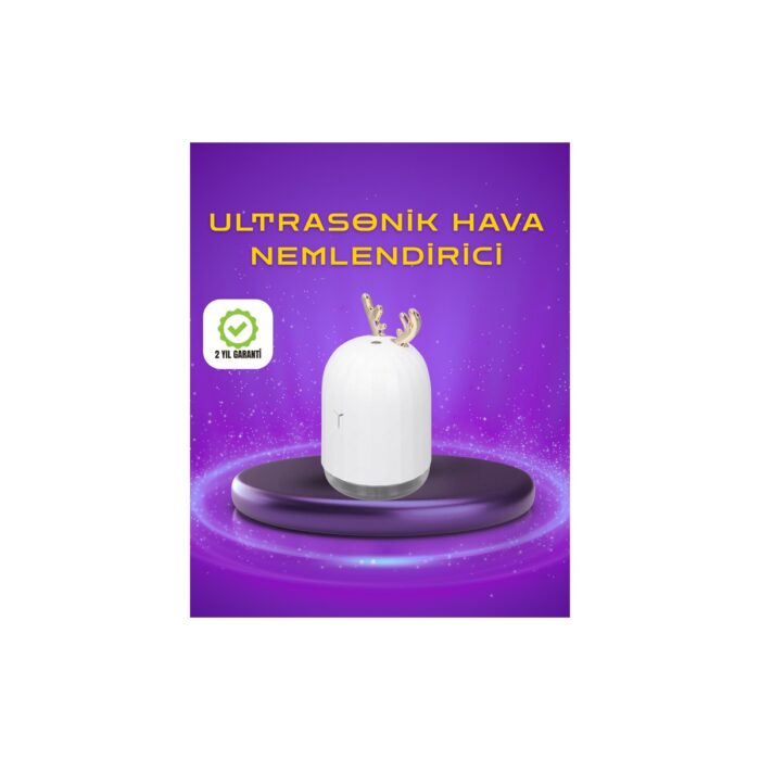 110001252865273.jpg Ronanna Renkli LED Işıklı ve Sürekli Spreyli Masa Nemlendirici - Görsel 1