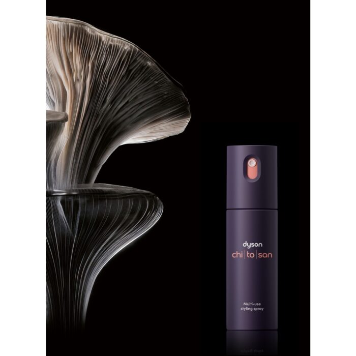 Dyson Omega™ ve Chitosan™ Ikili Saç Şekillendirme Seti - Görsel 2