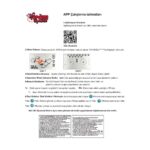 Dsx-41 Kumandalı 2.4g Şarjlı Kameralı Katlanabilir Drone -Vardem Oyuncak - Görsel 5